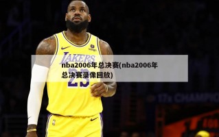 nba2006年总决赛(nba2006年总决赛录像回放)